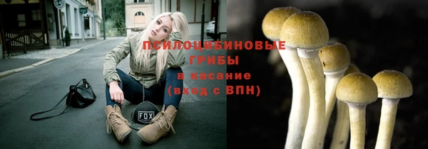 прущие крисы Алексин