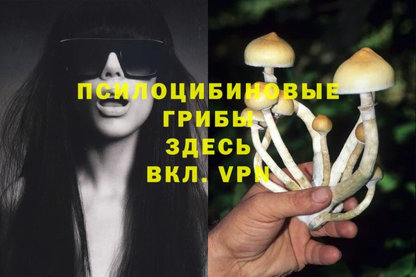 jwh Алзамай