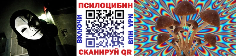 Галлюциногенные грибы Psilocybe  Тайшет 